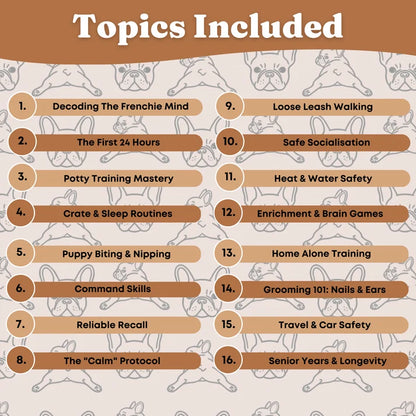The Complete Frenchie Guide