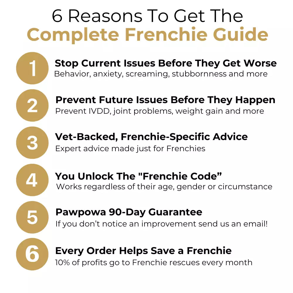 The Complete Frenchie Guide