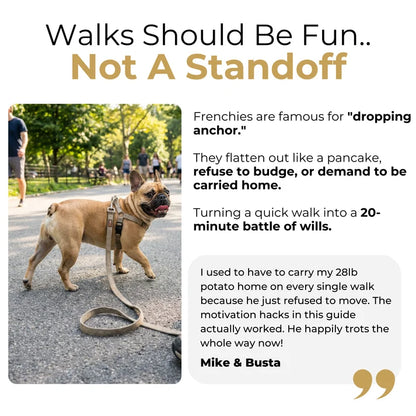 The Complete Frenchie Guide