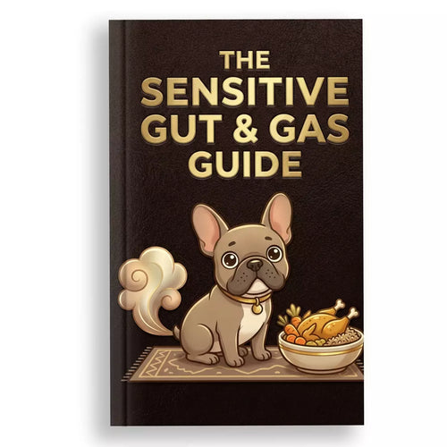 Frenchie - The Sensitive Gut & Gas Guide