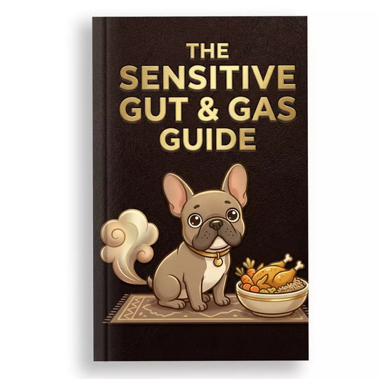 Frenchie - The Sensitive Gut & Gas Guide