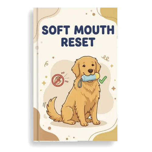 Golden Retriever Soft Mouth Reset
