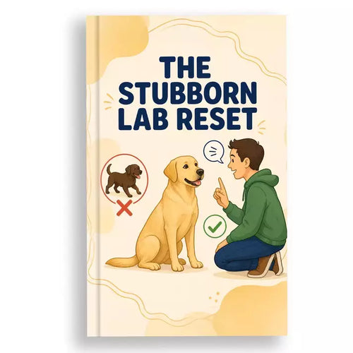 Labrador - The Stubborn Lab Reset